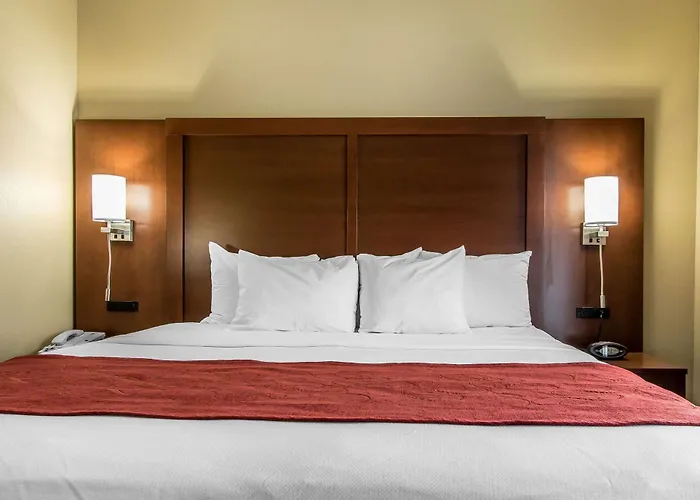Comfort Hotel Effingham