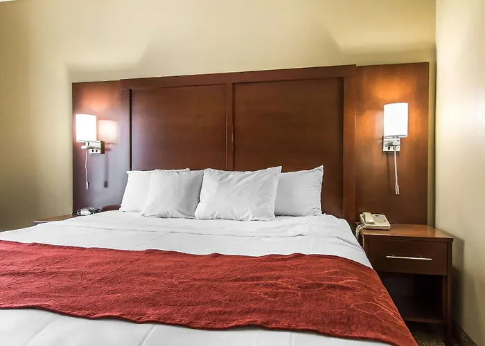 Comfort Hotel 4*