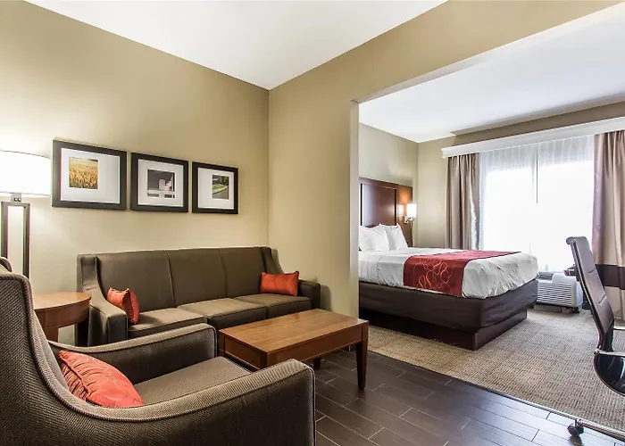 Hotel Comfort Effingham
