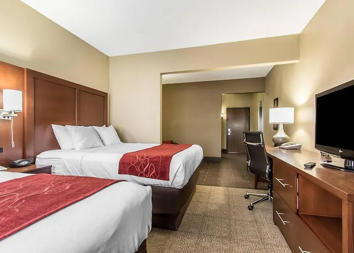 Comfort Hotel 4*